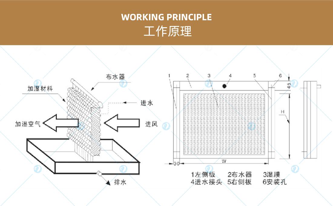 详情页2_画板 1 副本 18.png